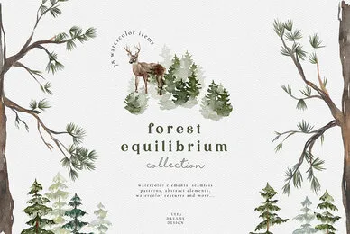 Forest Equilibrium Collection