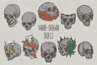 Hand Drawn Skulls