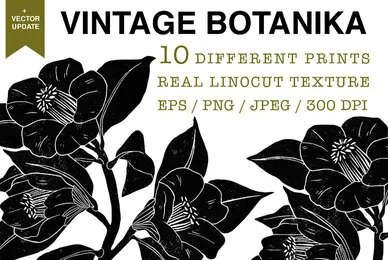 Vintage Botanika
