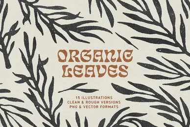 Organic Leaves Illustrations