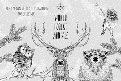 Winter Forest Animals