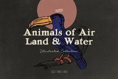 Animals of Air  Land  Water