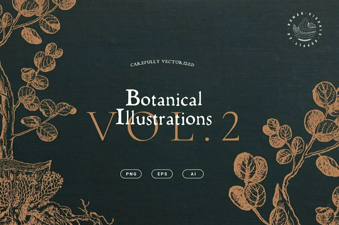 Botanical Illustrations Vol. 2