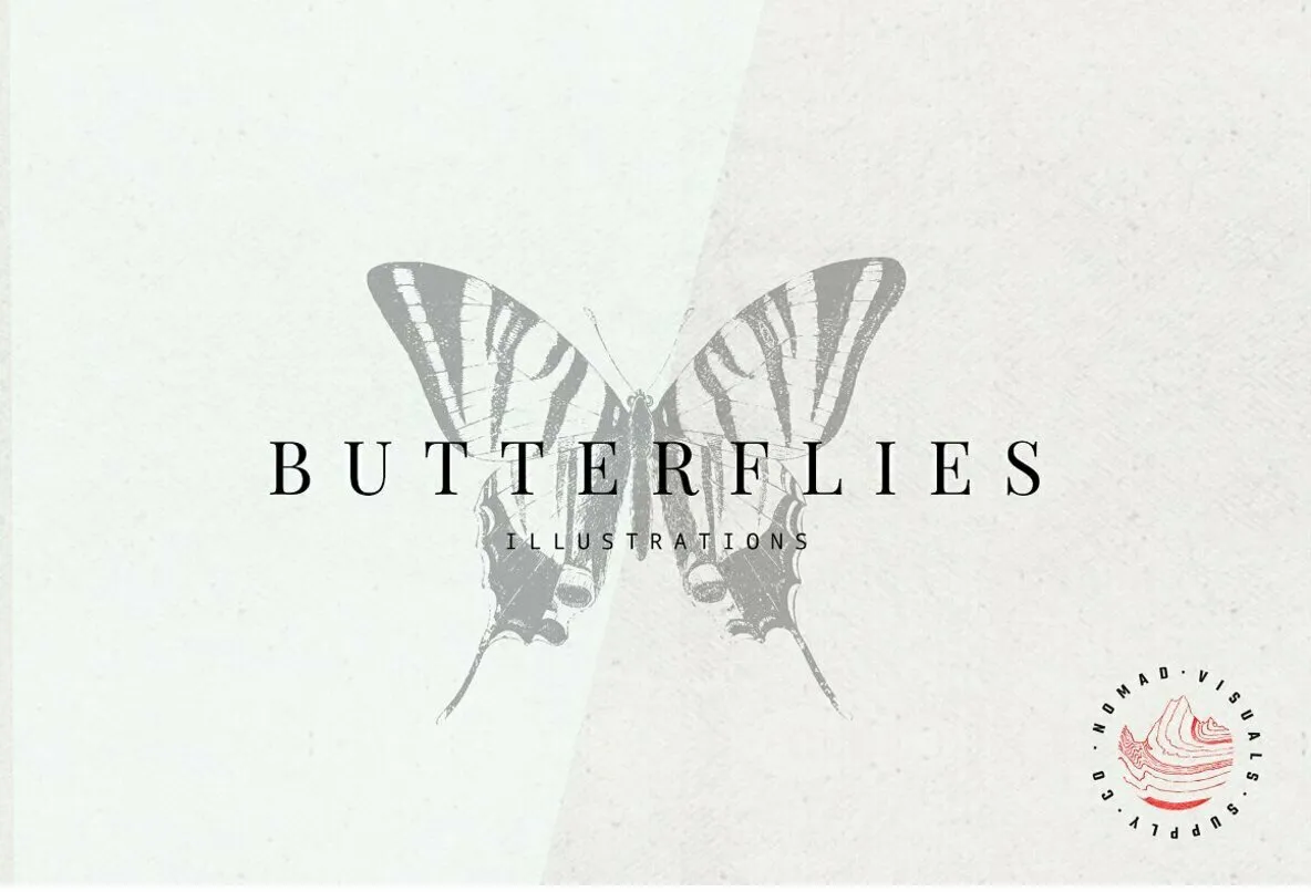 Butterflies Illustrations