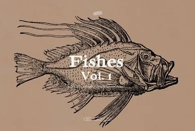 Fishes Vol 1