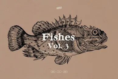 Fishes Vol 3