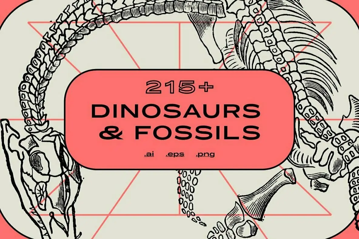 Dinosaurs & Fossils