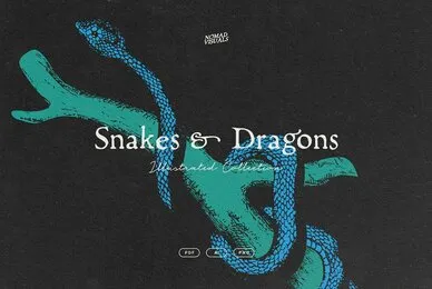 Snakes  Dragons