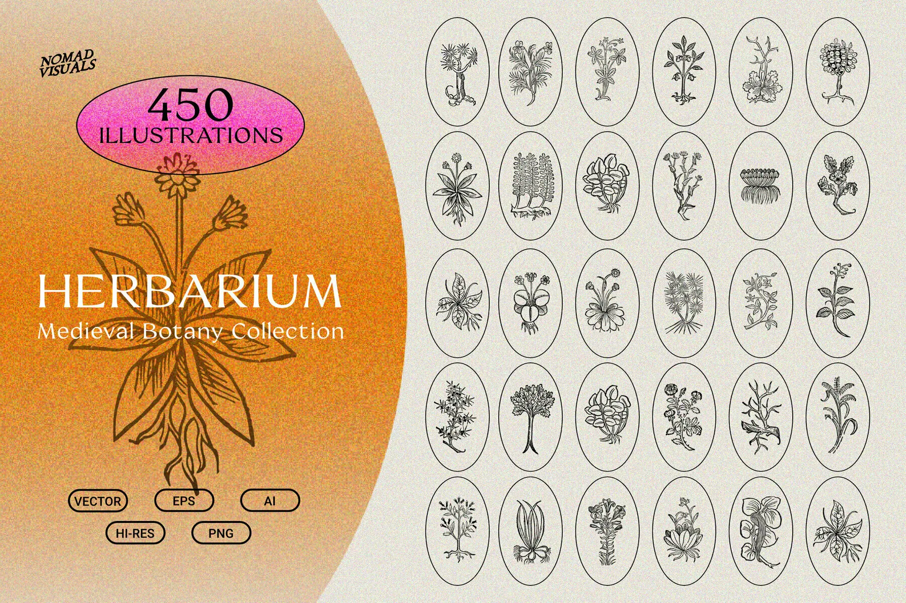 Herbarium - Botanical Collection