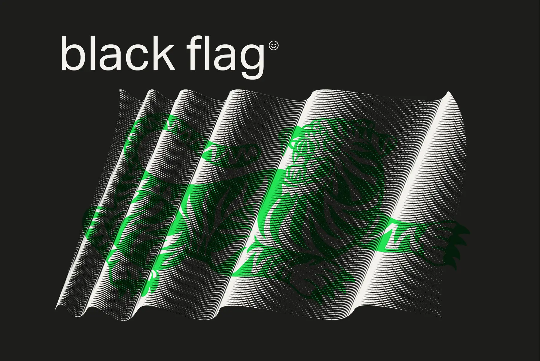 Black Flag Vector Pack Illustrations - YouWorkForThem