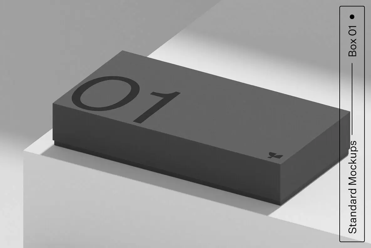 Box 01 Standard Mockup