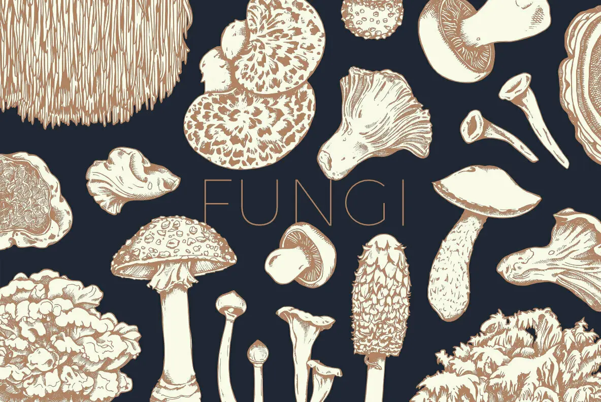 Fungi