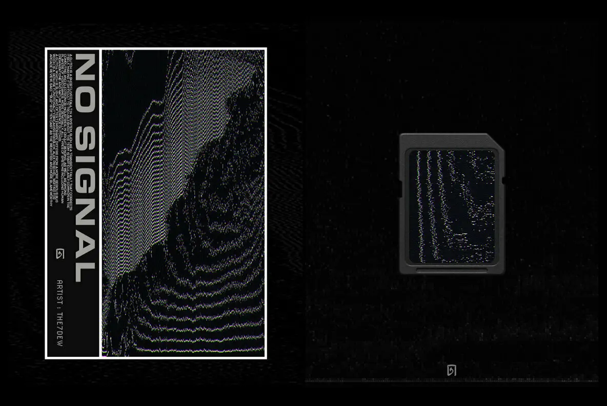 Signal 002 No Signal 002 Graphics - YouWorkForThem