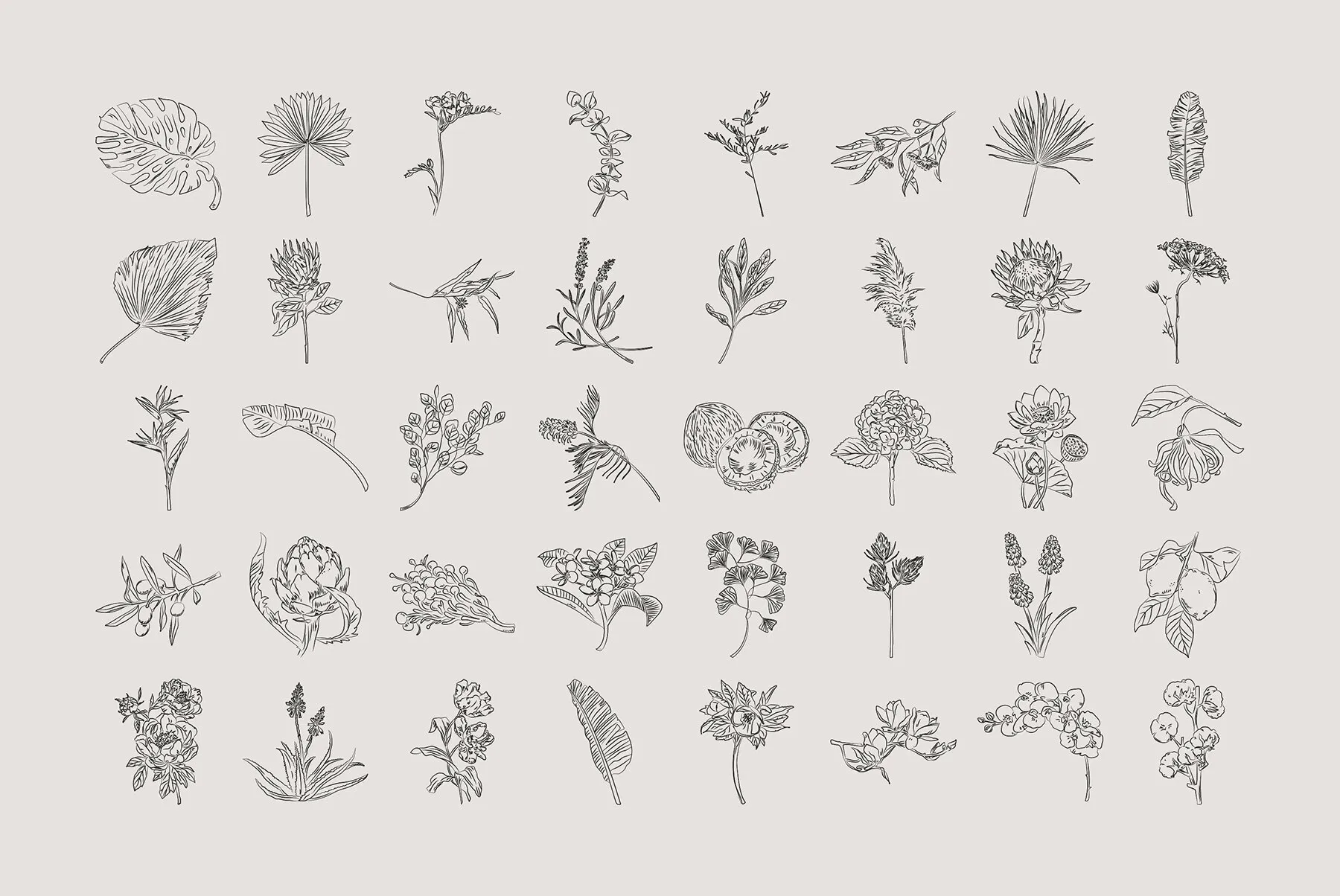 Botanical Label Kit Graphics - YouWorkForThem