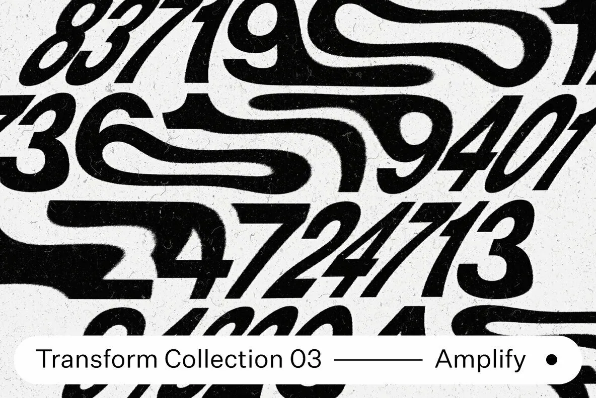 Transform Collection 03 - Amplify