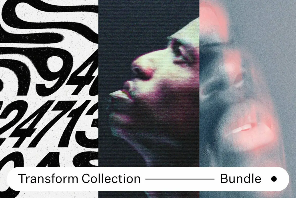 Transform Collection Bundle