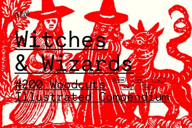 Witches  Wizards