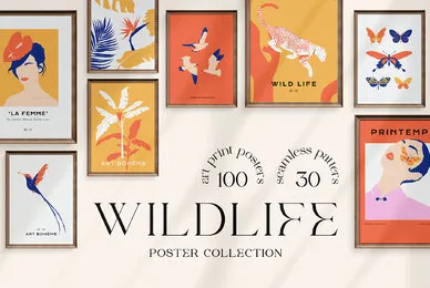 Wildlife Prints Posters
