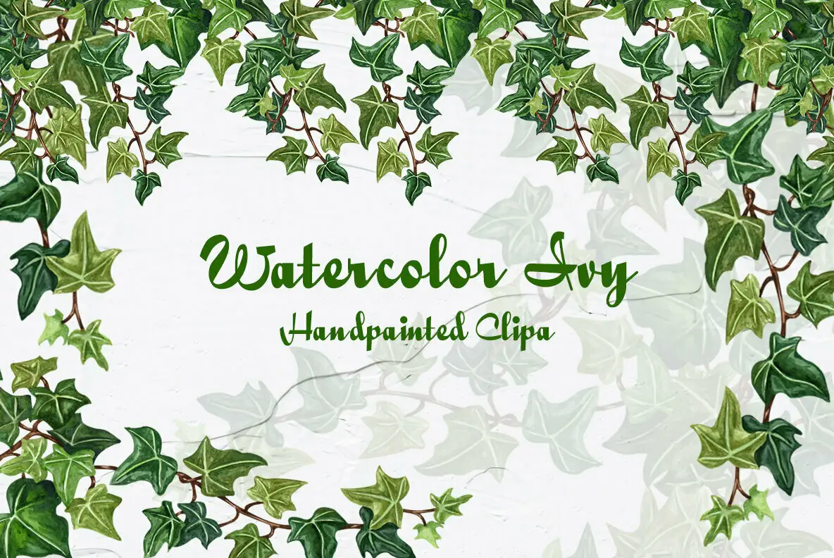 Ivy Watercolor Collection