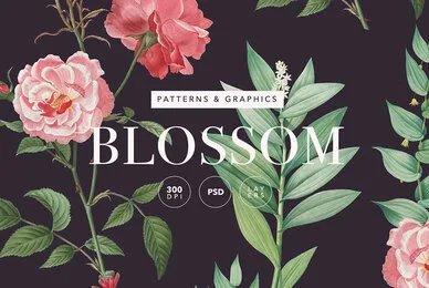 Blossom   Elegant Floral Pattern and Graphics
