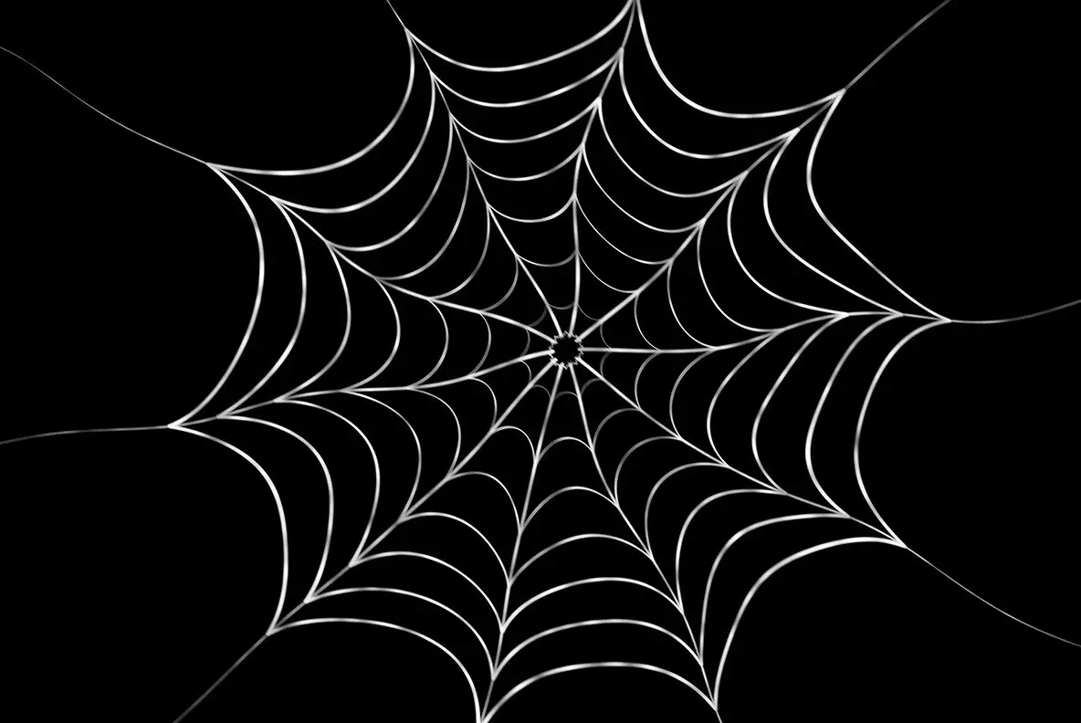 Spider Web Backgrounds Graphics - YouWorkForThem