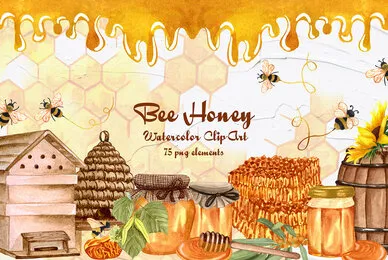 Honey Watercolor Set