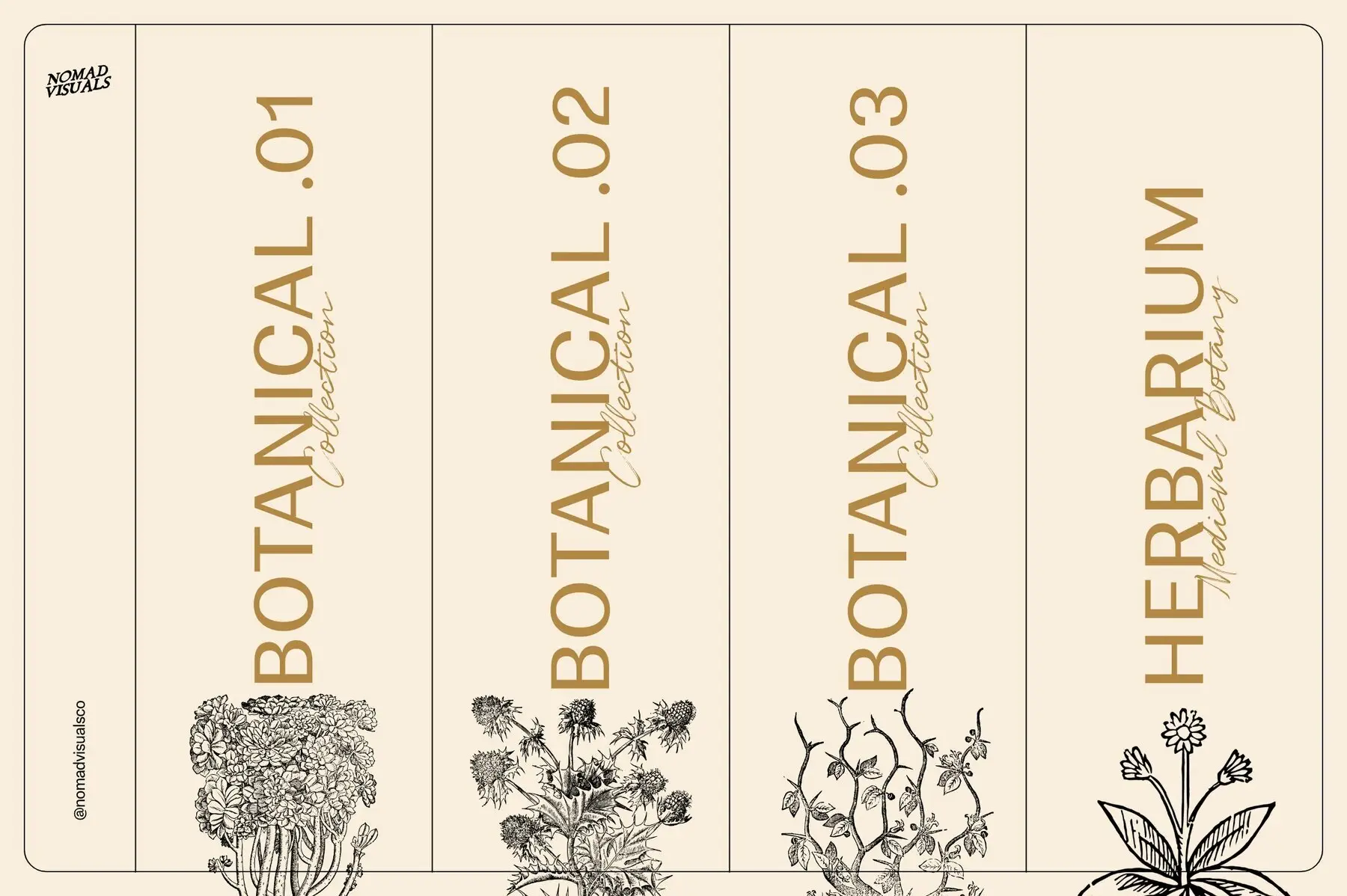 Botanicals Collection. Design Botanical Collection Illustrations - YouWorkForThem