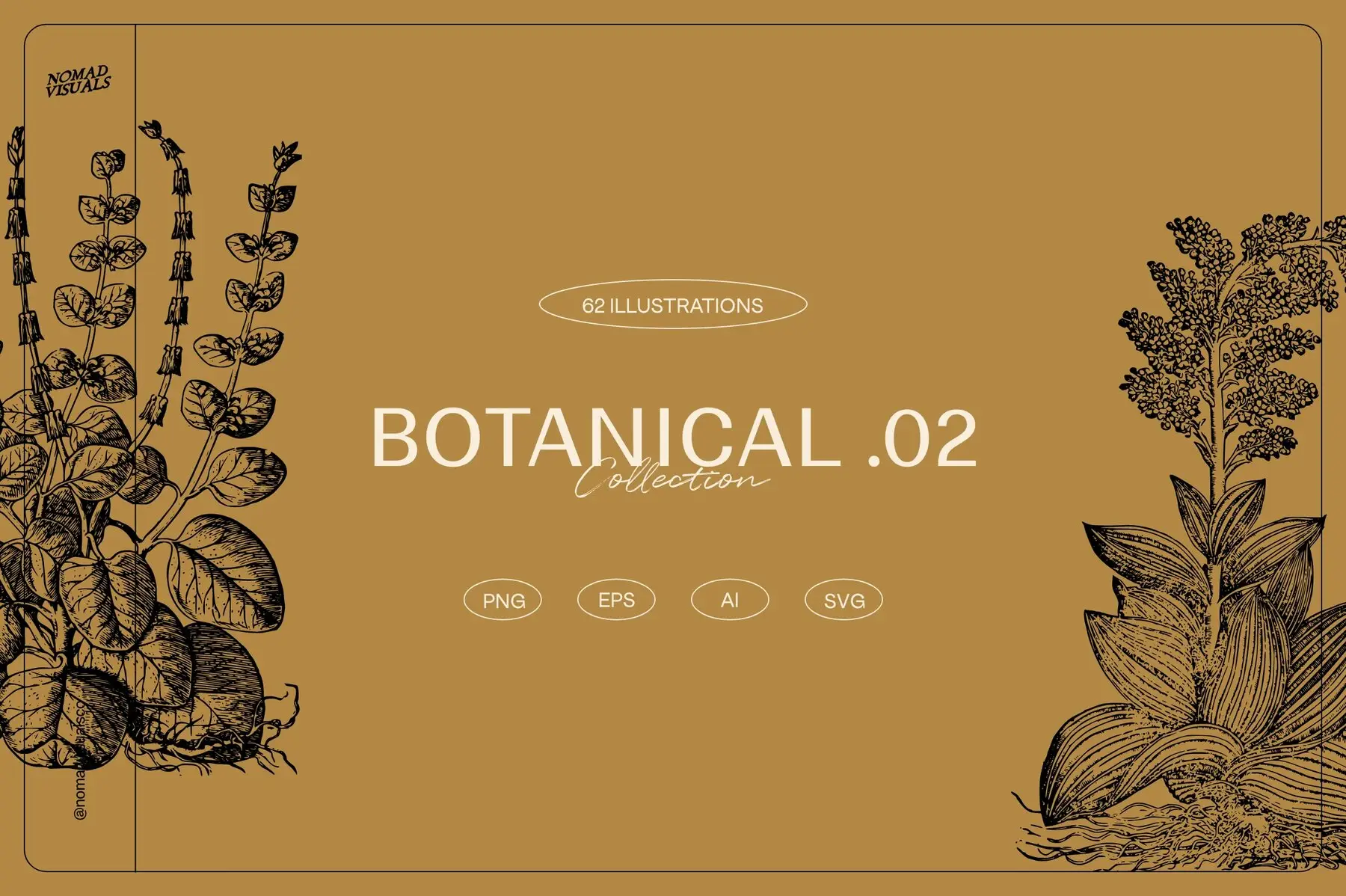 Botanicals Collection. Design Botanical Collection Illustrations - YouWorkForThem