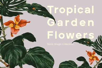 Tropical Garden Flowers