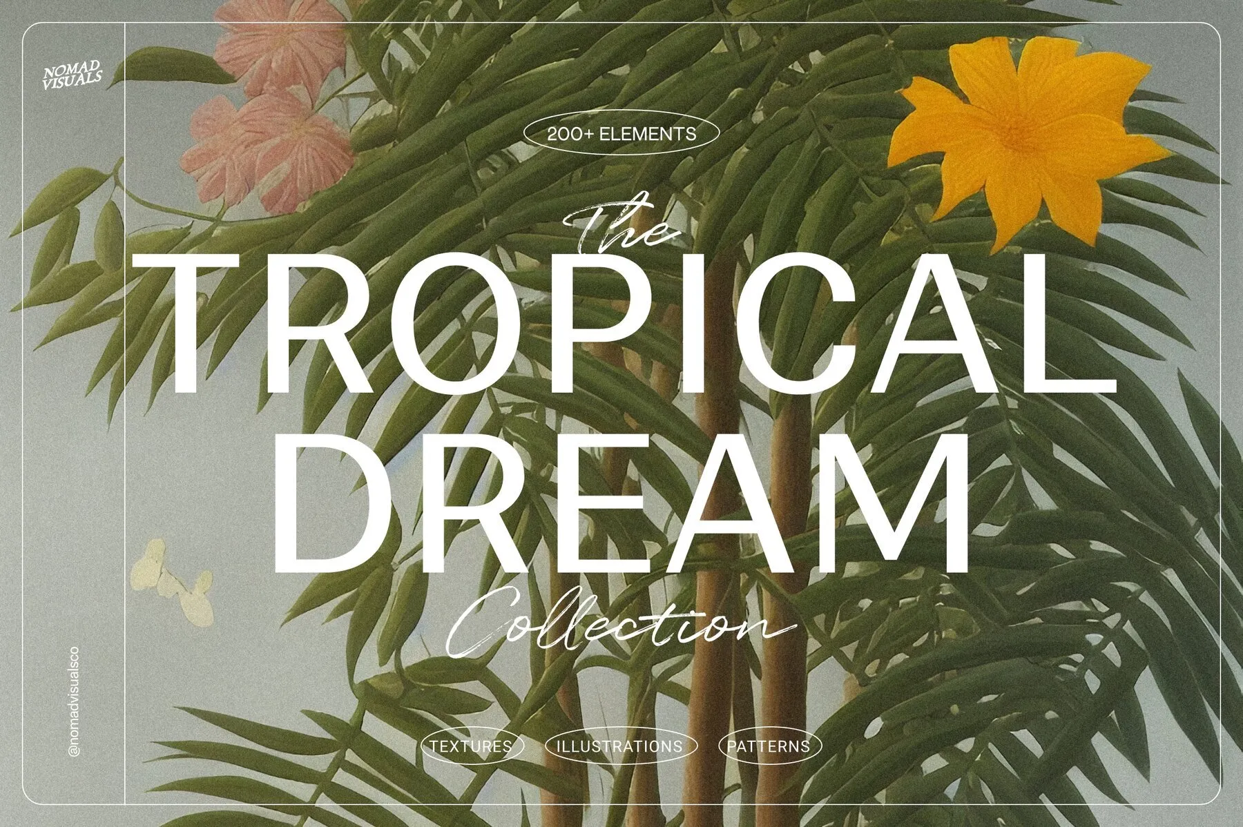 Tropical Dream