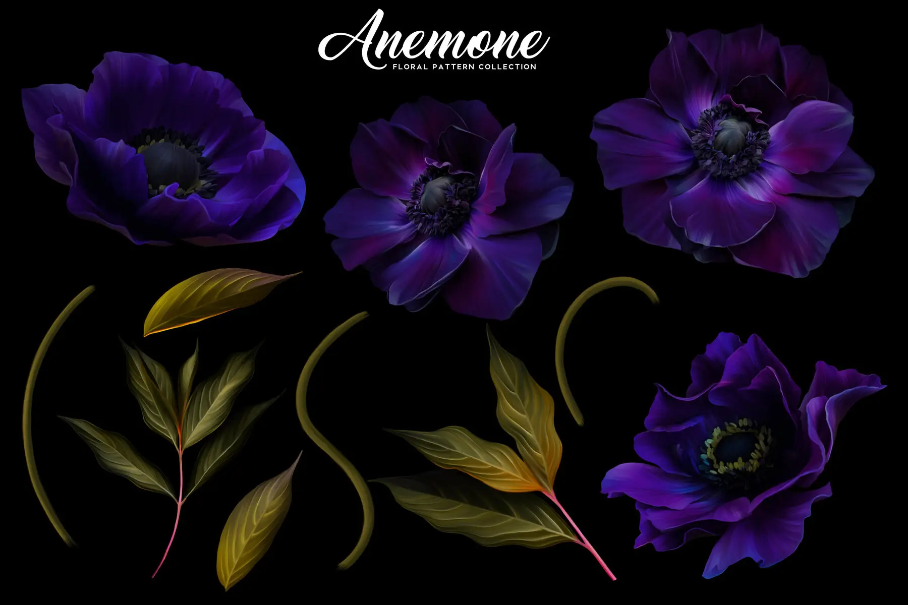 Anemone Floral Pattern Collection Patterns - YouWorkForThem