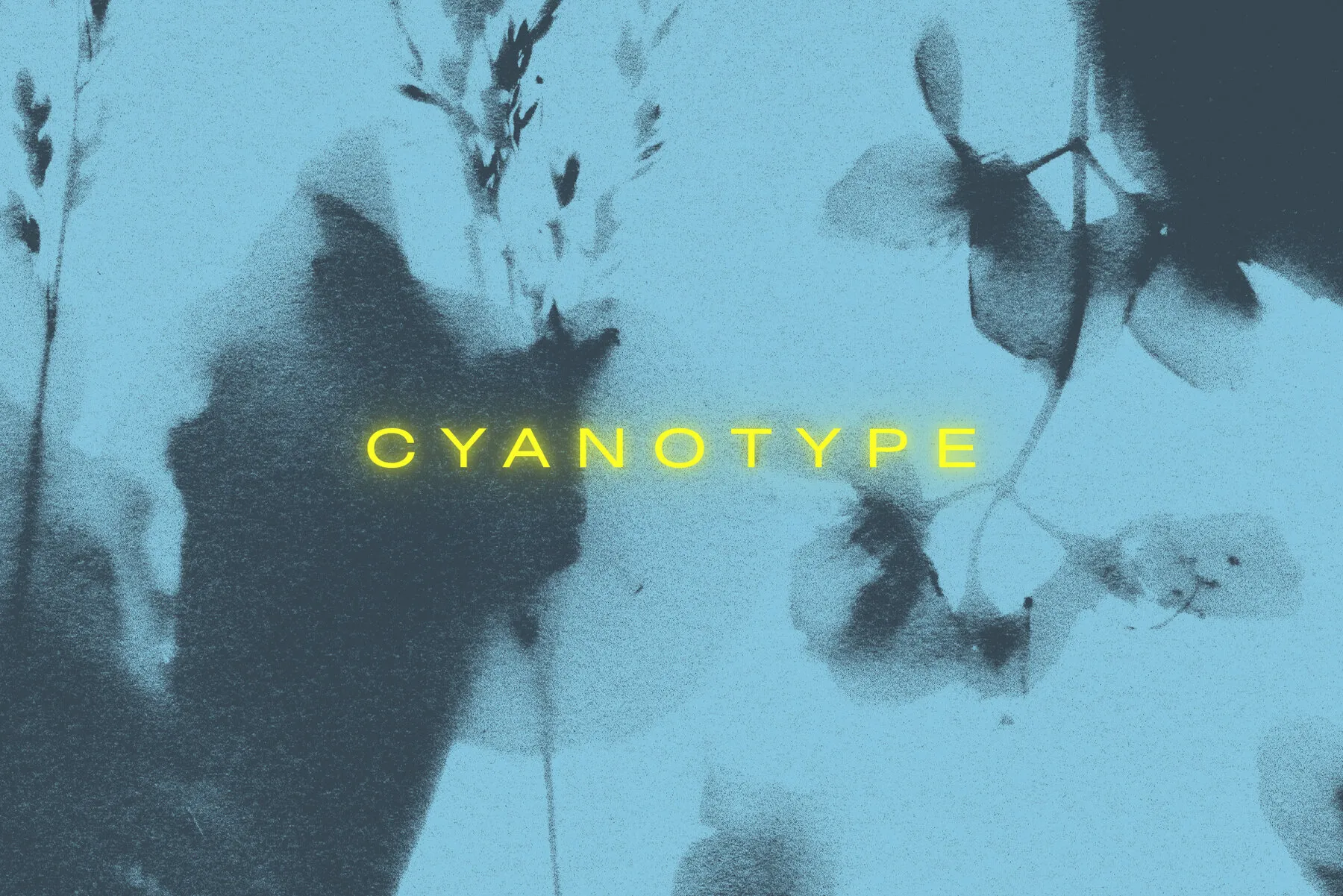 Floral Cyanotype