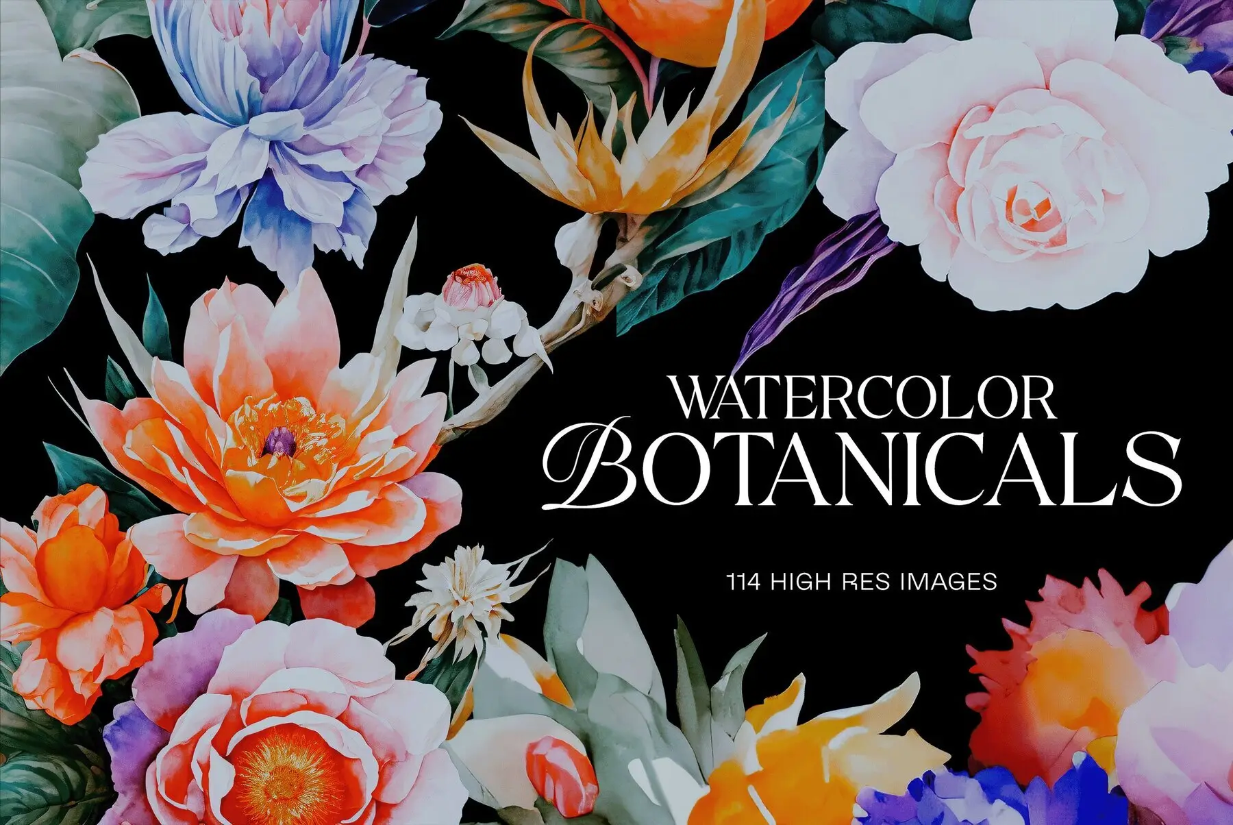 Watercolor Botanicals