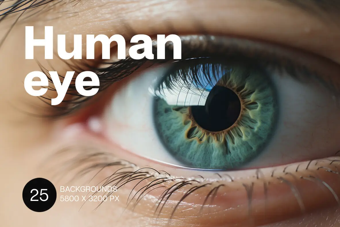 Human Eyes