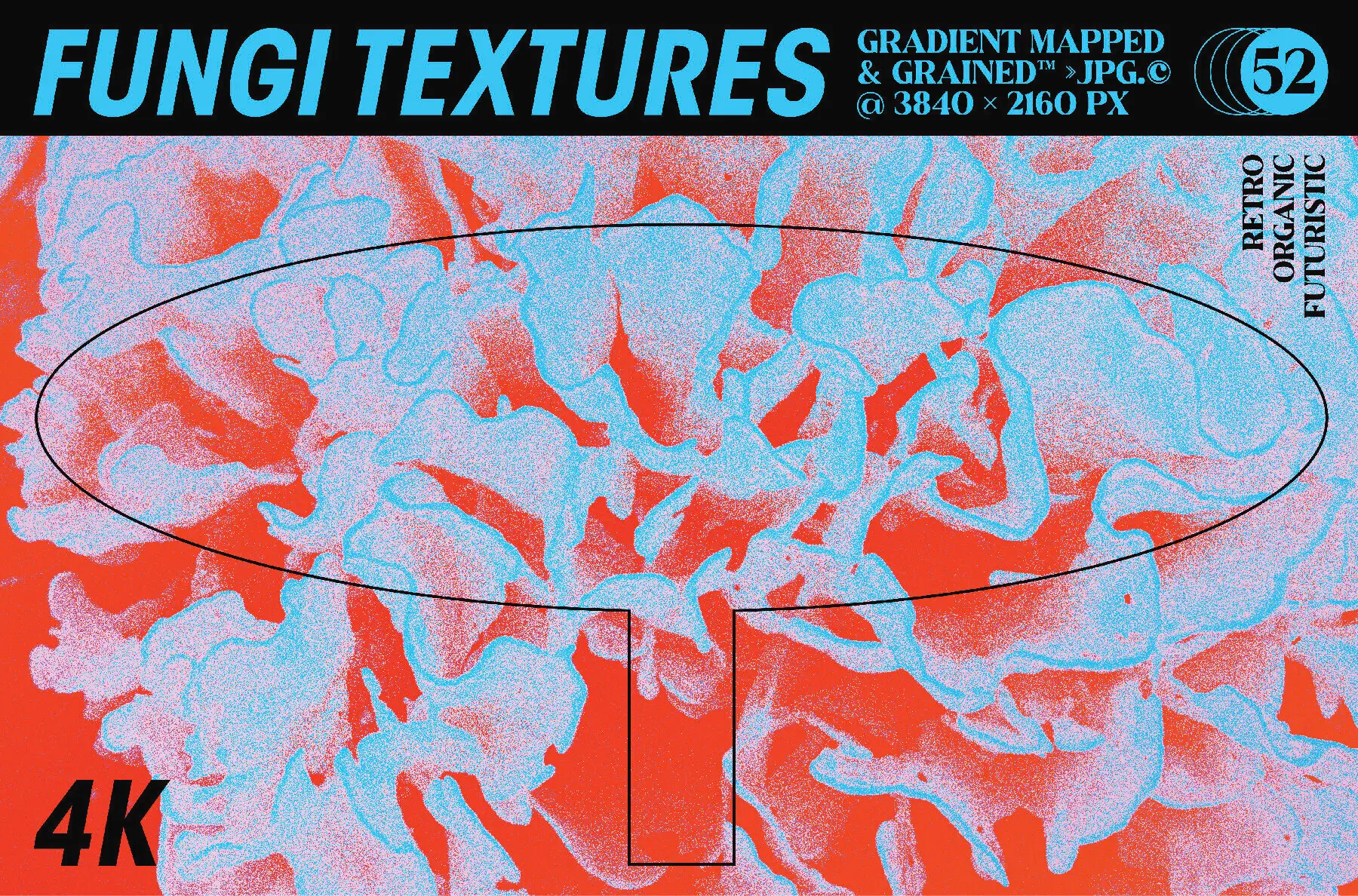 Fungi Textures Pack