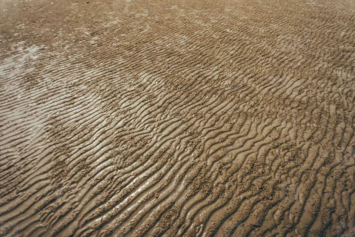 Beach Patterns 08 Photo (109288) - YouWorkForThem