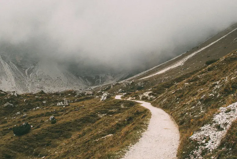 Long Pathway Photo (117806) - YouWorkForThem