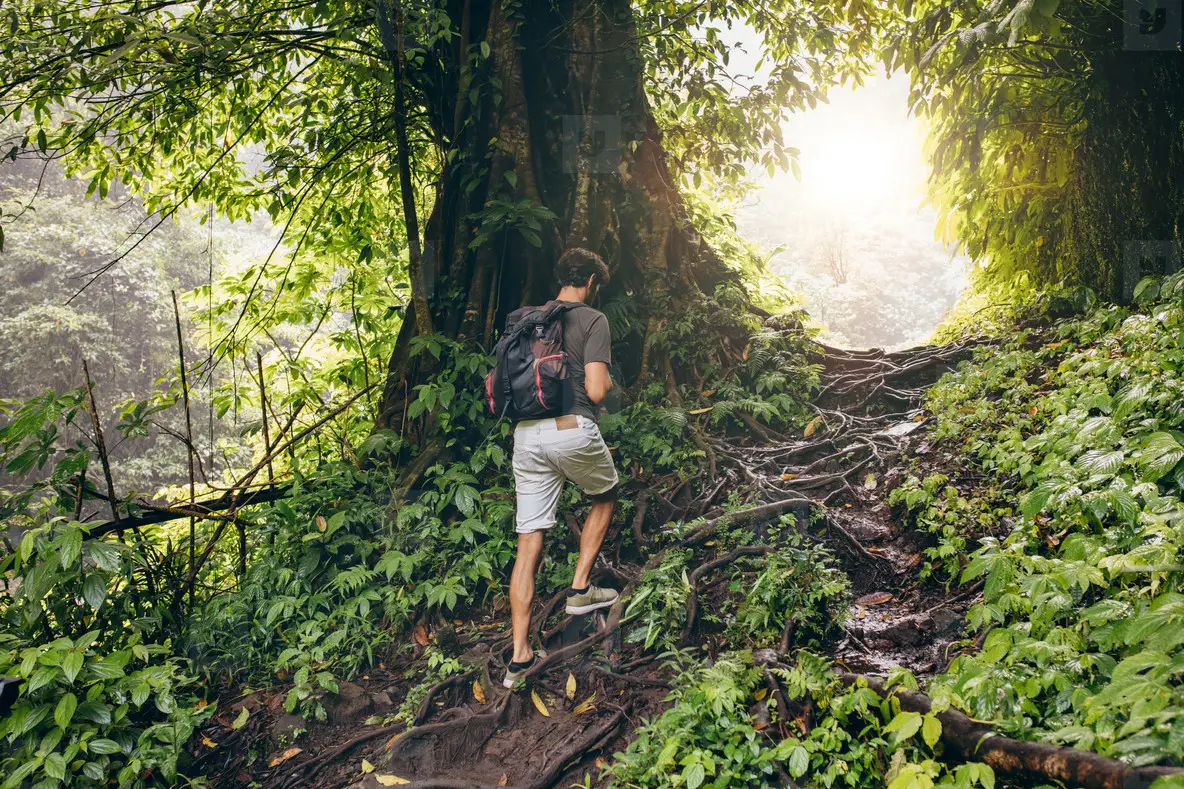 People Hiking In Tropical Jungle Photo (122927) - YouWorkForThem