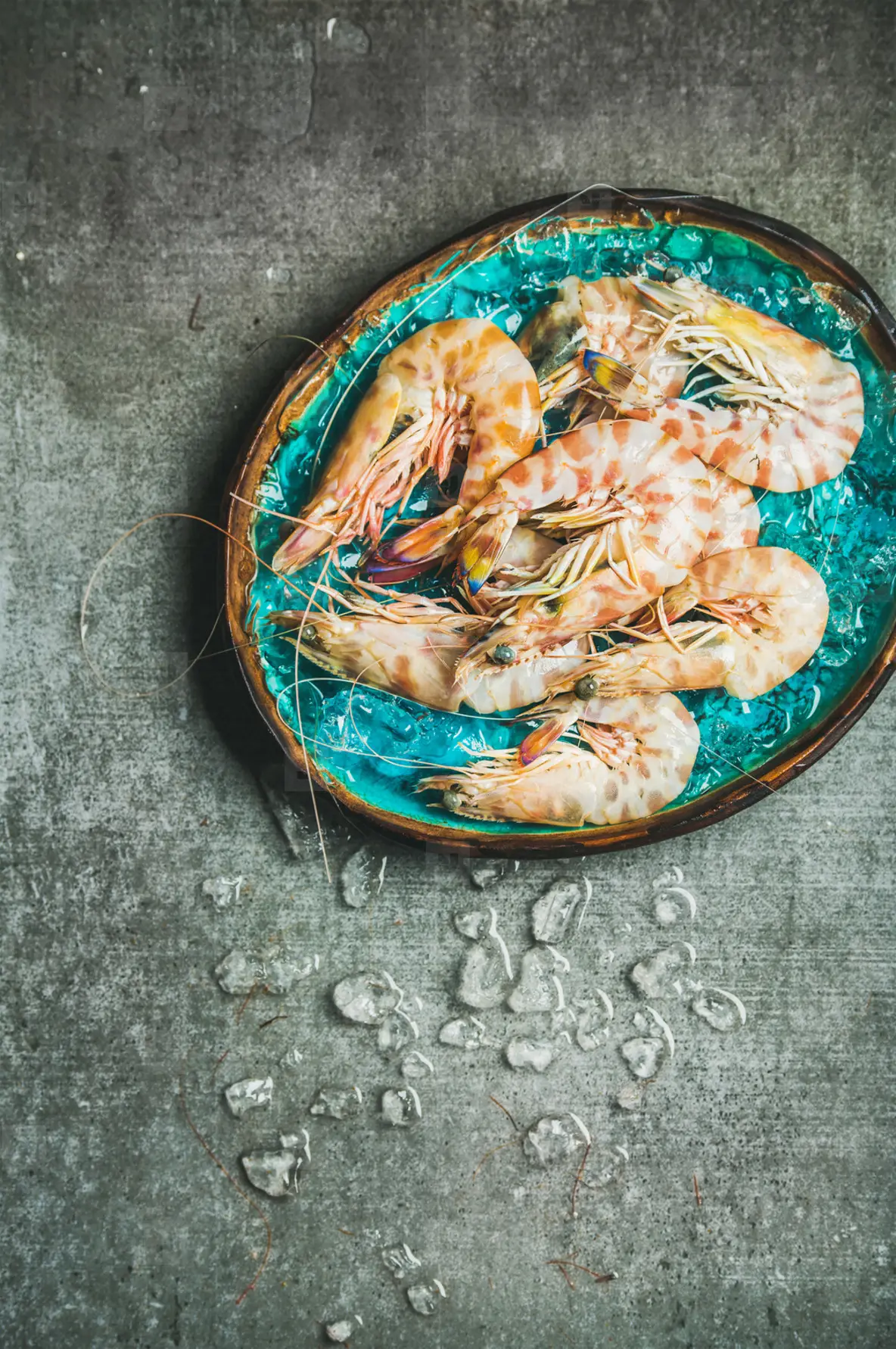 Raw uncooked tiger prawns on chipped ice  grey concrete background