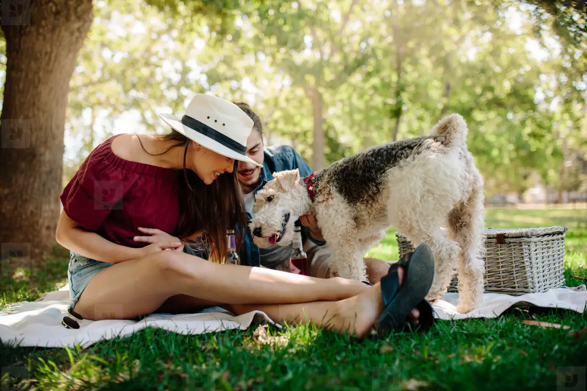 Couple Playing With Dog On Picnic Photo (146623) - YouWorkForThem