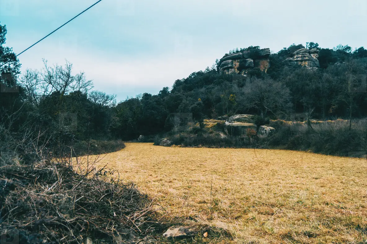 Landscape of a yellow meadow on a cloudy day with a mountain