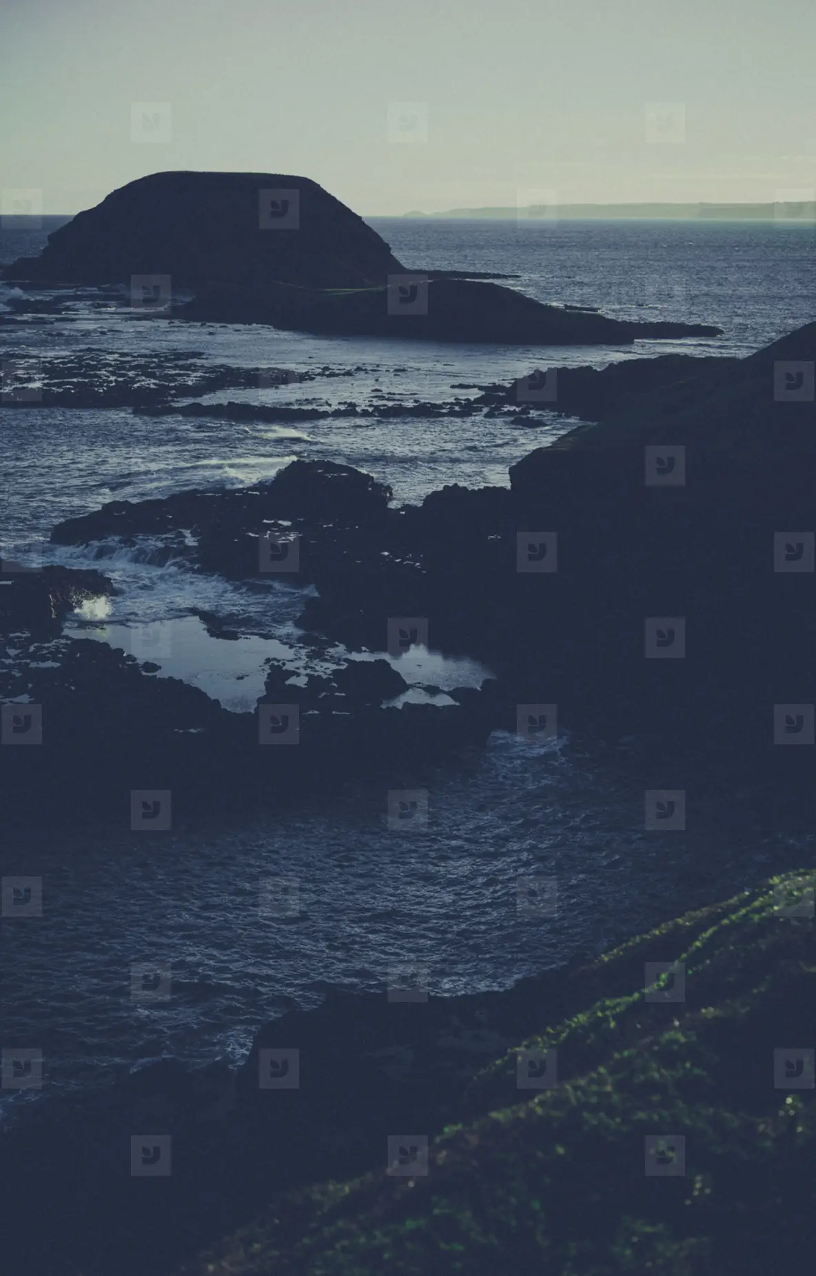 Phillip Island  Australia 14