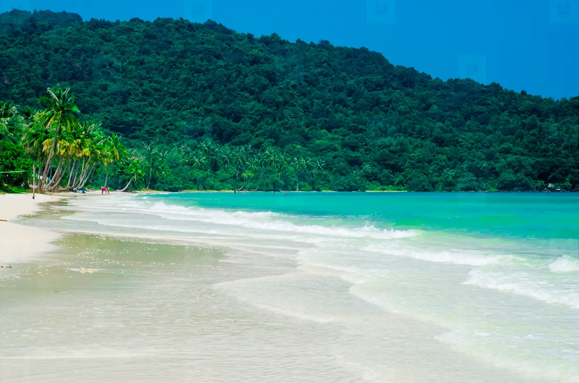 Beautiful Empty Tropical Beach Photo (150799) - YouWorkForThem, image size:1184x784