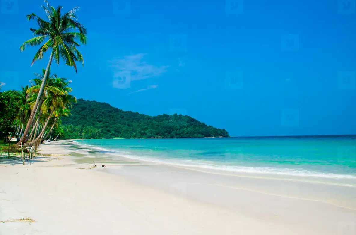 Beautiful Empty Tropical Beach Photo (150800) - YouWorkForThem, image size:1184x784