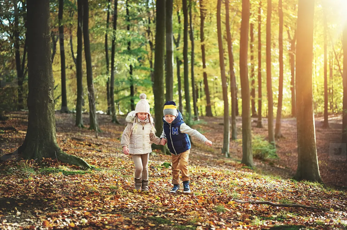 Two Kids Walking Through The Green Forest Photo (164593) - YouWorkForThem