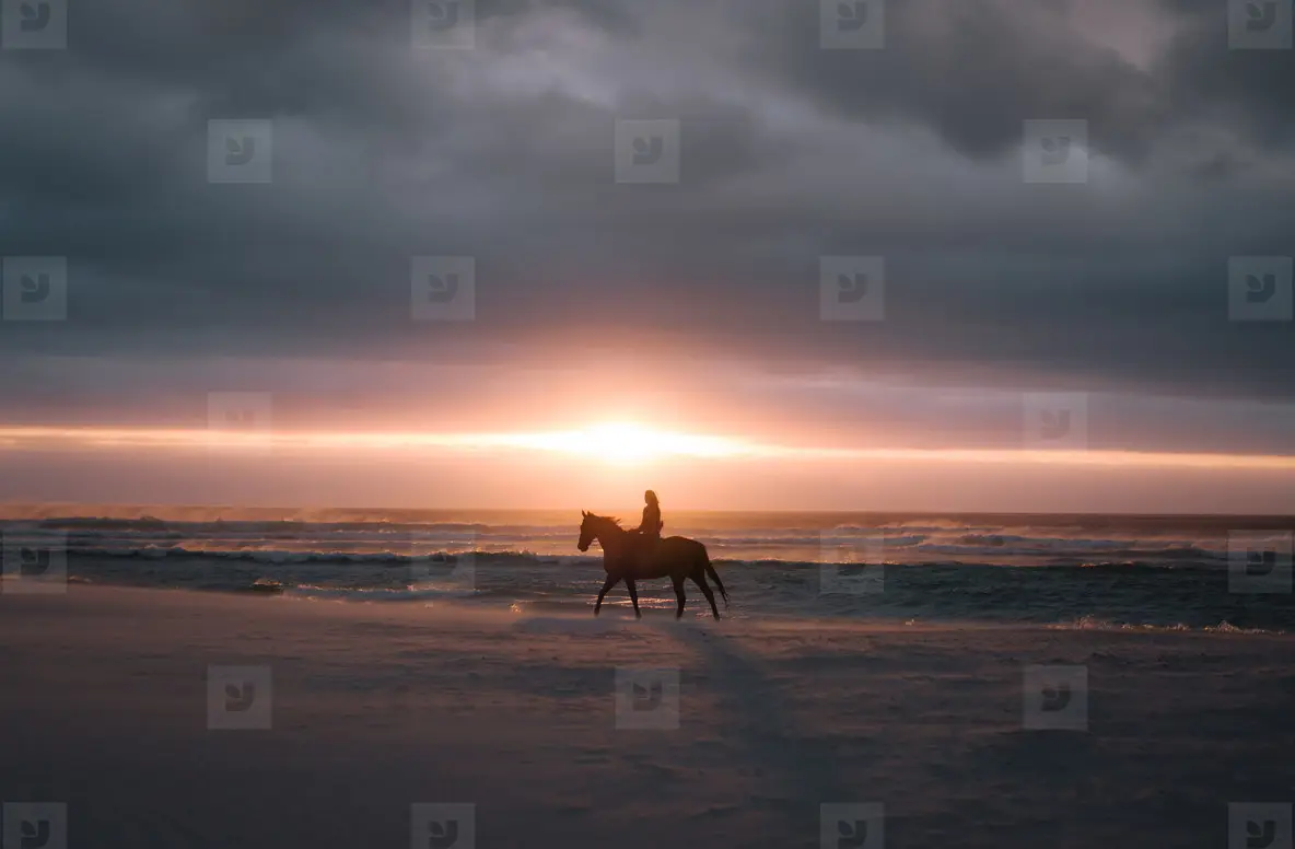 Horse Riding At Sunset On The Beach Photo (174681) - YouWorkForThem