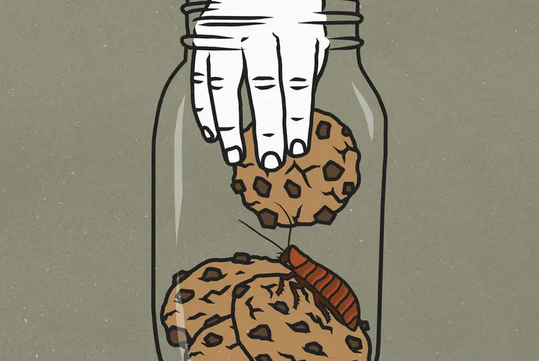 Hand reaching into cookie jar with cockroach #01