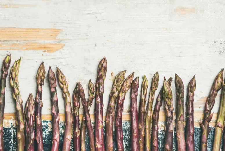 Fresh Raw purple asparagus over rustic wooden background, copy space