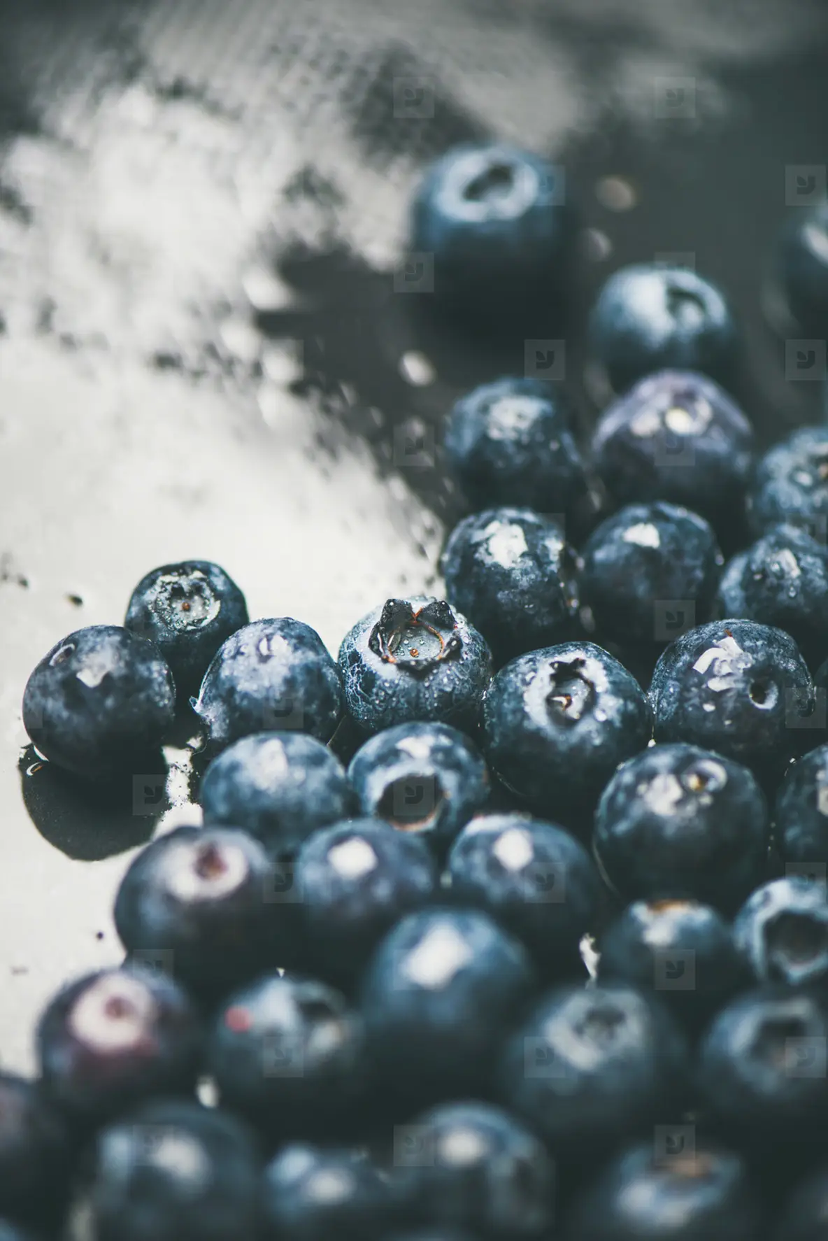 Fresh forest blueberry texture  wallpaper and background  vertical composition
