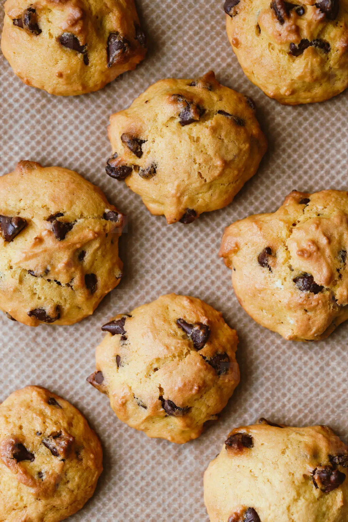 Homemade pumpkin cookies with chocolate chips made from cake mix on a baking sheet  Top view  flat lay